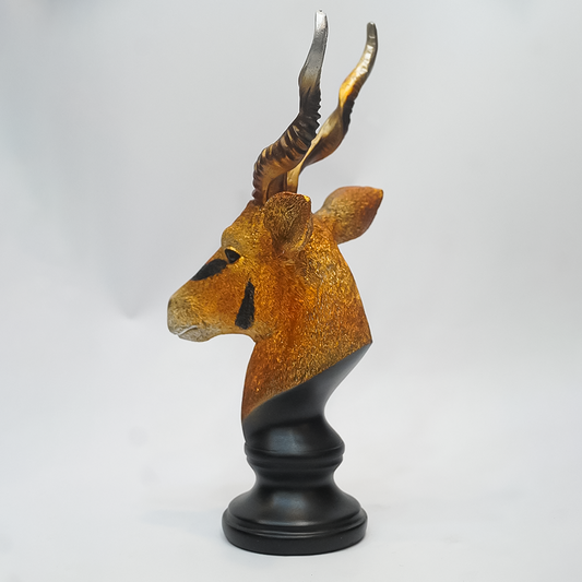 China Markhor