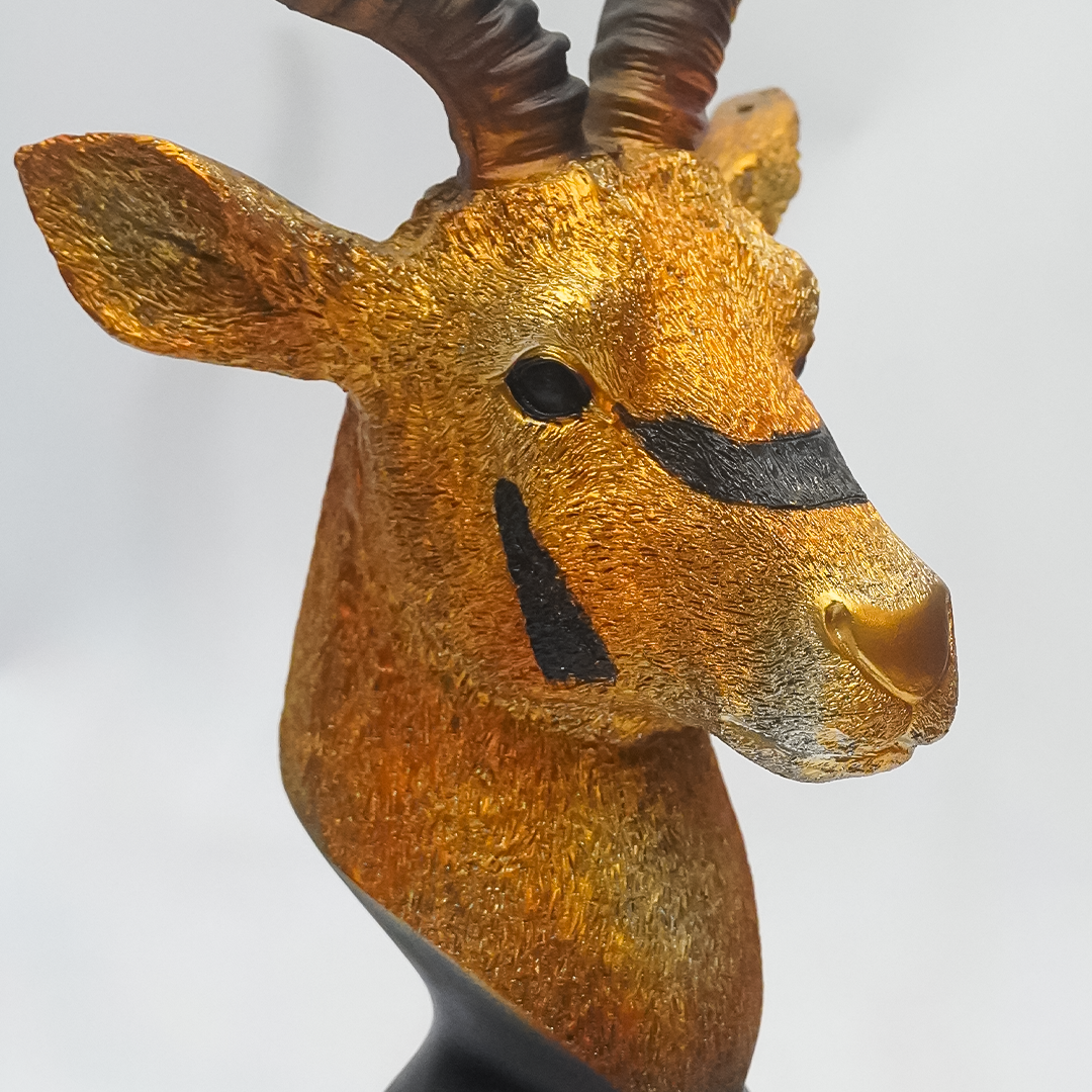 China Markhor