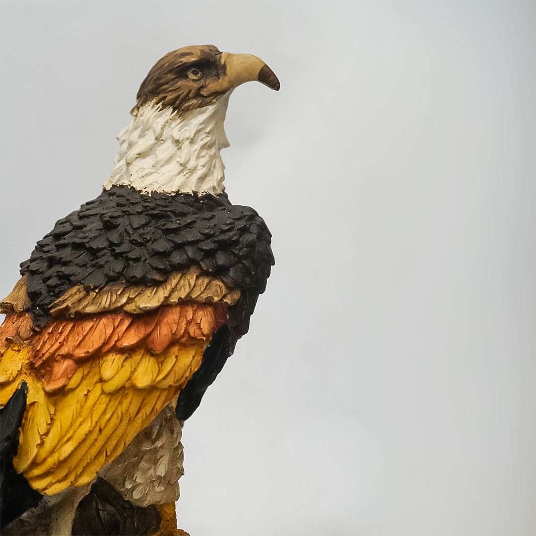 China Eagle